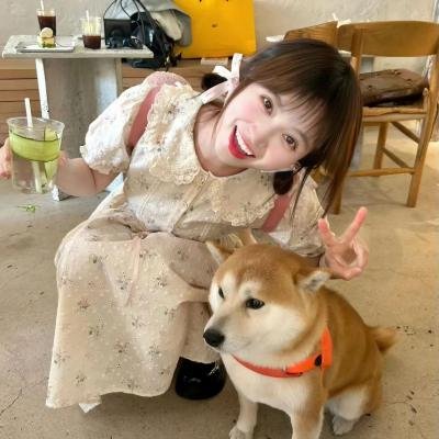 二呆流浪记之完全大人手册